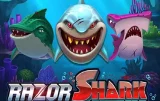 Razor Shark Slot – Dive Deep for Big Rewards!